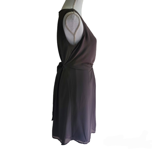 Naked Zebra Medium Gray Dress - Picture 3 of 7